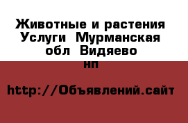 Животные и растения Услуги. Мурманская обл.,Видяево нп